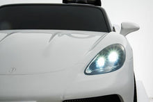 Load image into Gallery viewer, FALSE