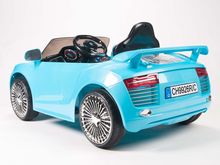 Load image into Gallery viewer, FALSE