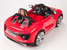 Load image into Gallery viewer, FALSE
